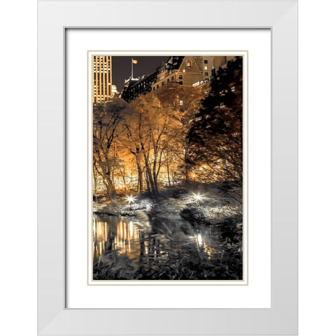 Central Park Glow III White Modern Wood Framed Art Print with Double Matting by Frank, Assaf
