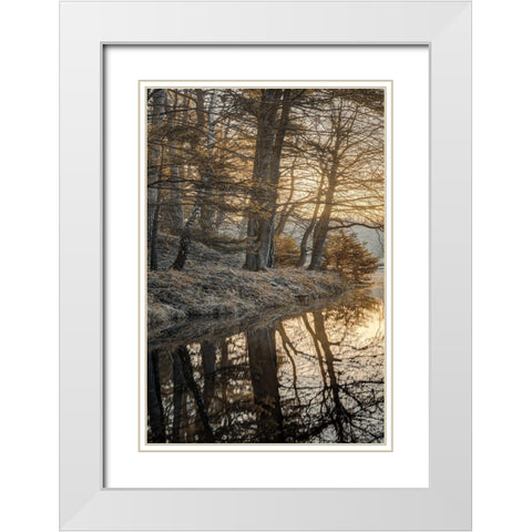 Frosty Morning I White Modern Wood Framed Art Print with Double Matting by Frank, Assaf