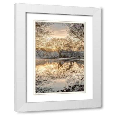 Frosty Morning II White Modern Wood Framed Art Print with Double Matting by Frank, Assaf
