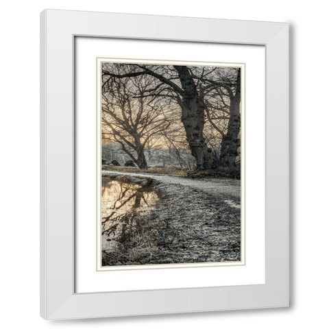 Frosty Morning III White Modern Wood Framed Art Print with Double Matting by Frank, Assaf