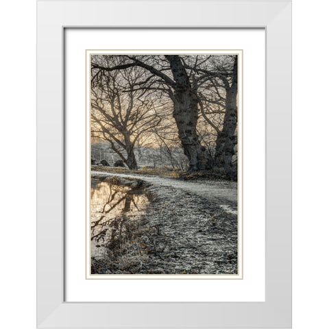 Frosty Morning III White Modern Wood Framed Art Print with Double Matting by Frank, Assaf
