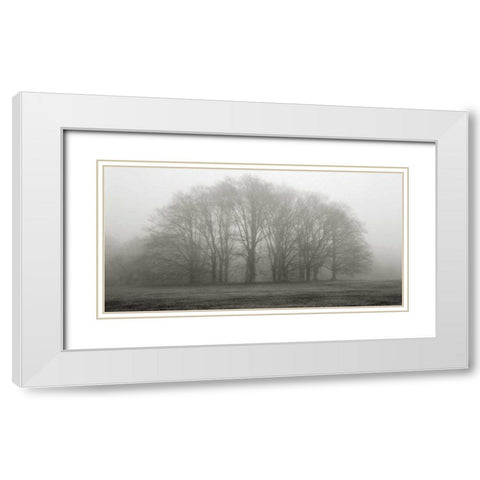 Gathering Trees White Modern Wood Framed Art Print with Double Matting by Iacobellis, Michael