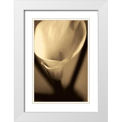 Divinity White Modern Wood Framed Art Print with Double Matting by Ryan, Cinzia