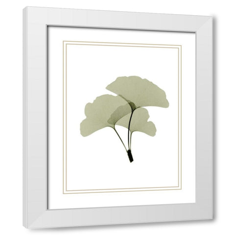 Ginko I White Modern Wood Framed Art Print with Double Matting by ACEE