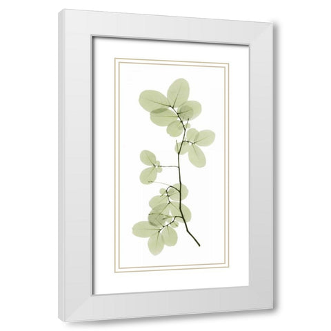 Myrtle Tree White Modern Wood Framed Art Print with Double Matting by ACEE