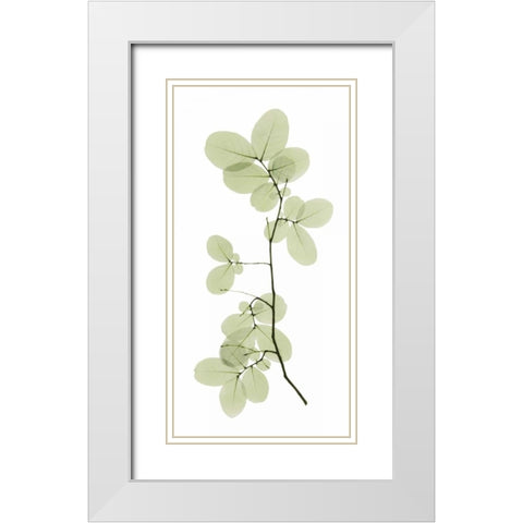 Myrtle Tree White Modern Wood Framed Art Print with Double Matting by ACEE