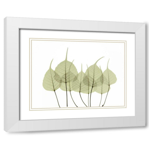 Woodlands I White Modern Wood Framed Art Print with Double Matting by ACEE