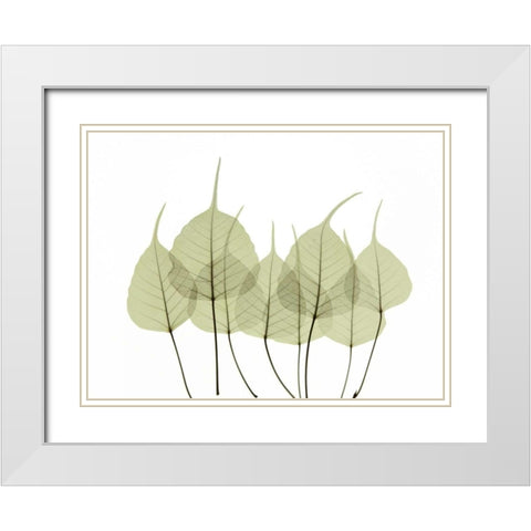 Woodlands I White Modern Wood Framed Art Print with Double Matting by ACEE