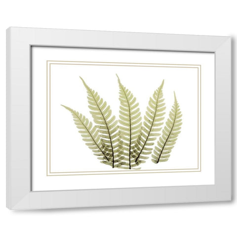 Woodlands II White Modern Wood Framed Art Print with Double Matting by ACEE