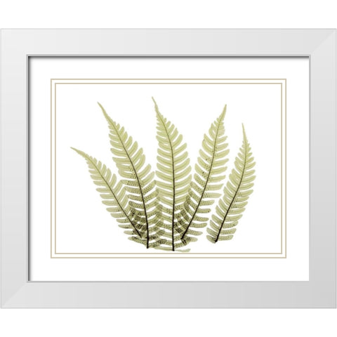 Woodlands II White Modern Wood Framed Art Print with Double Matting by ACEE