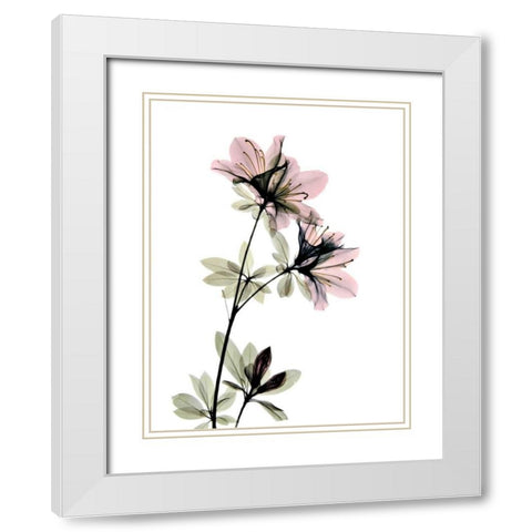 Azalea White Modern Wood Framed Art Print with Double Matting by ACEE