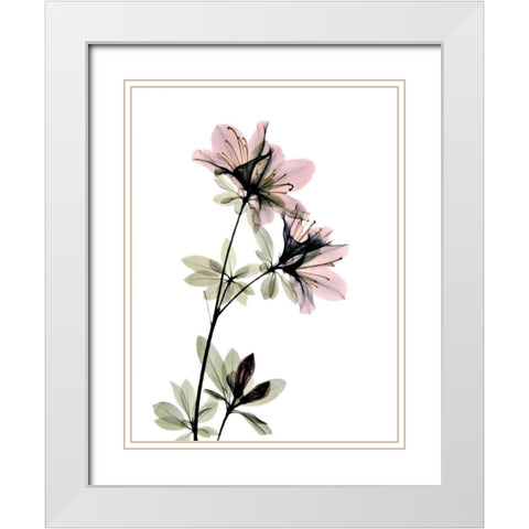 Azalea White Modern Wood Framed Art Print with Double Matting by ACEE