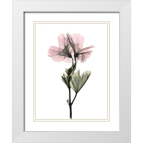 Geranium White Modern Wood Framed Art Print with Double Matting by ACEE