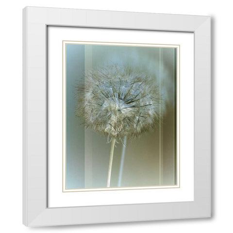 Flaura II White Modern Wood Framed Art Print with Double Matting by Blake, W.