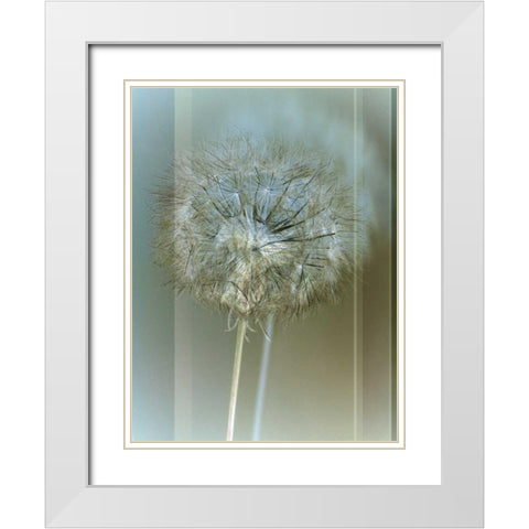 Flaura II White Modern Wood Framed Art Print with Double Matting by Blake, W.
