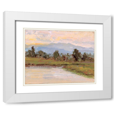 Jewels of the Wetlands Series One White Modern Wood Framed Art Print with Double Matting by Curt, Brigitte
