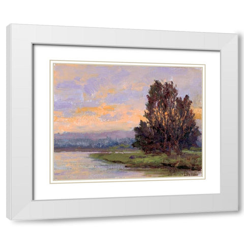 Jewels of the Wetlands Series One White Modern Wood Framed Art Print with Double Matting by Curt, Brigitte