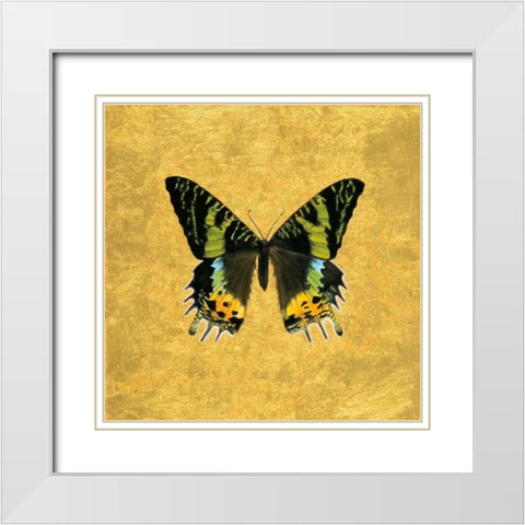 Butterfly on Gold White Modern Wood Framed Art Print with Double Matting by Charlotte, Joanna
