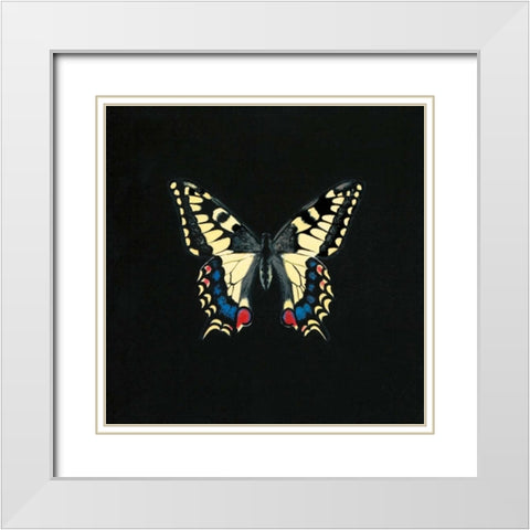 Butterfly on Black White Modern Wood Framed Art Print with Double Matting by Charlotte, Joanna