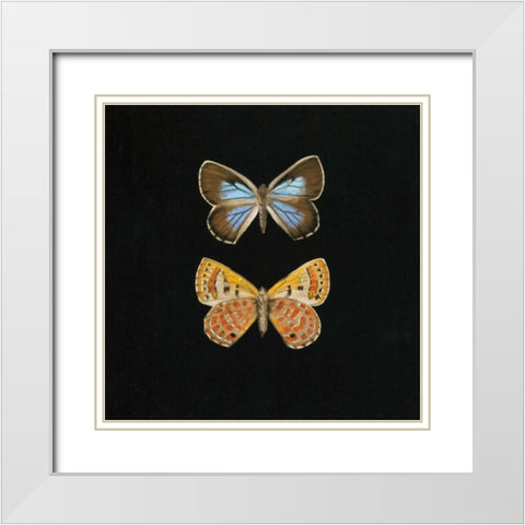 Pair of Butterflies on Black White Modern Wood Framed Art Print with Double Matting by Charlotte, Joanna