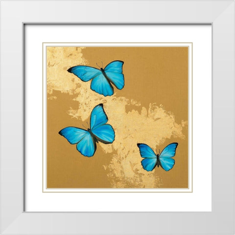 Cerulean Butterfly II White Modern Wood Framed Art Print with Double Matting by Charlotte, Joanna
