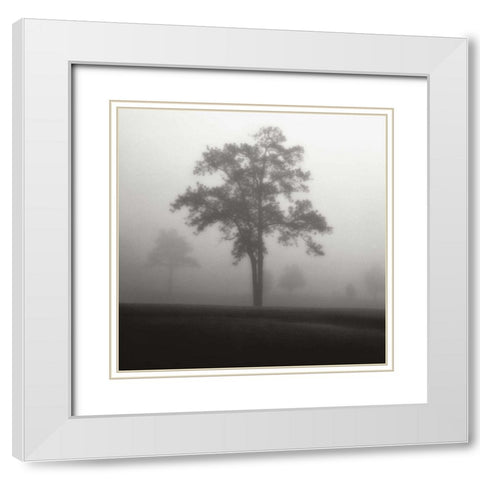 Fog Tree Study I White Modern Wood Framed Art Print with Double Matting by Cook, Jamie