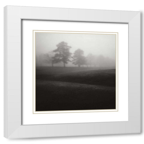 Fog Tree Study II White Modern Wood Framed Art Print with Double Matting by Cook, Jamie