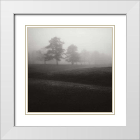 Fog Tree Study II White Modern Wood Framed Art Print with Double Matting by Cook, Jamie