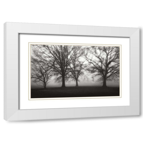 Fog Tree Study IV White Modern Wood Framed Art Print with Double Matting by Cook, Jamie