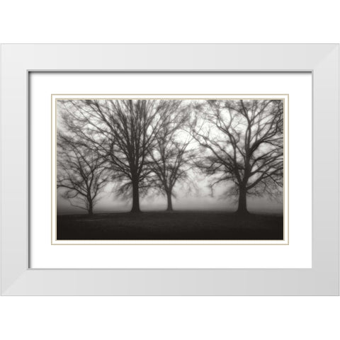 Fog Tree Study IV White Modern Wood Framed Art Print with Double Matting by Cook, Jamie