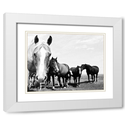 Wild Whispers I White Modern Wood Framed Art Print with Double Matting by Corpeny, Peggy