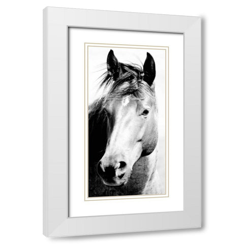 Wild Whispers I White Modern Wood Framed Art Print with Double Matting by Corpeny, Peggy