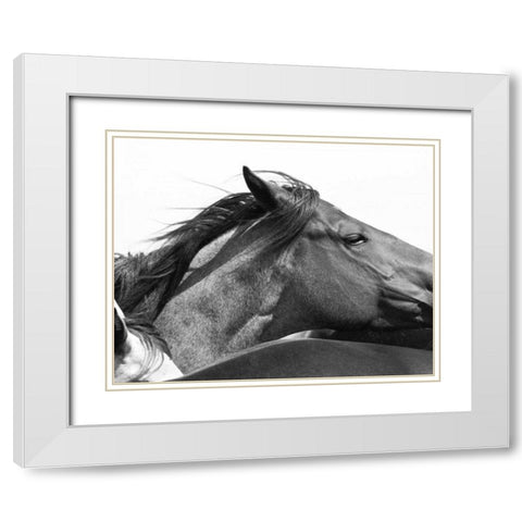 Wild Whispers II White Modern Wood Framed Art Print with Double Matting by Corpeny, Peggy
