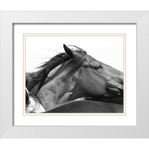Wild Whispers II White Modern Wood Framed Art Print with Double Matting by Corpeny, Peggy