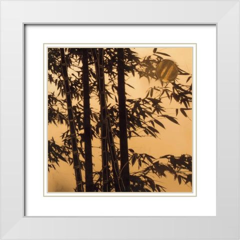 Shadow Play II White Modern Wood Framed Art Print with Double Matting by Endo, Madeleine