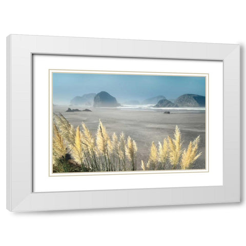 Pampas Beach White Modern Wood Framed Art Print with Double Matting by Frates, Dennis