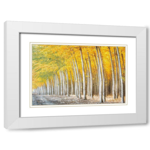 Gold Alley White Modern Wood Framed Art Print with Double Matting by Frates, Dennis