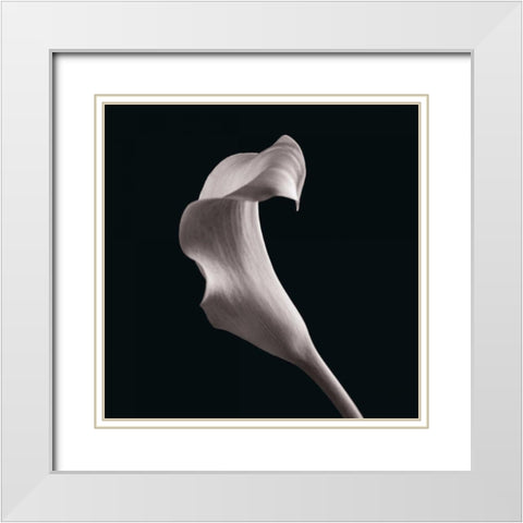 Lilies White Modern Wood Framed Art Print with Double Matting by Faragher, Michael