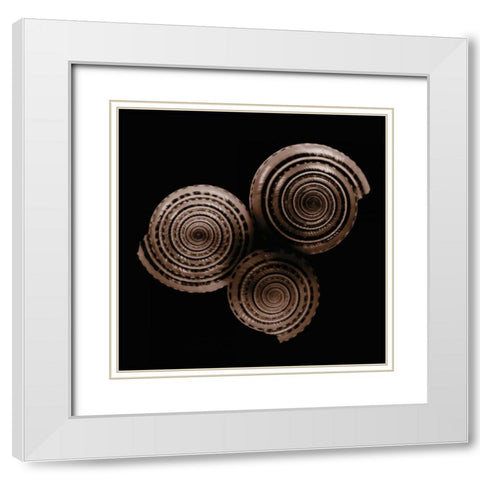 Sundials White Modern Wood Framed Art Print with Double Matting by Faragher, Michael