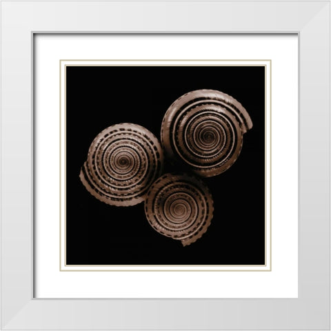 Sundials White Modern Wood Framed Art Print with Double Matting by Faragher, Michael
