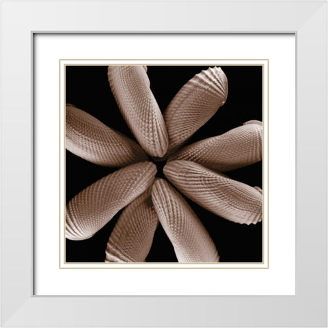 Convergence White Modern Wood Framed Art Print with Double Matting by Faragher, Michael