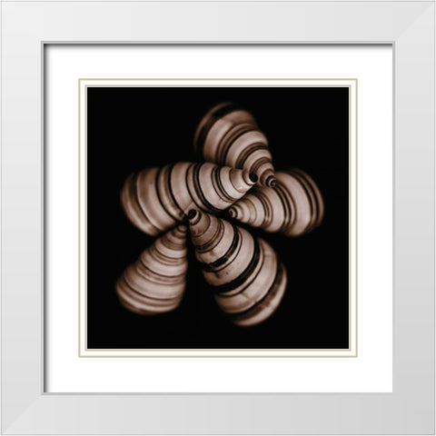 Focus White Modern Wood Framed Art Print with Double Matting by Faragher, Michael