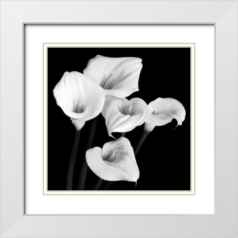 Harmony White Modern Wood Framed Art Print with Double Matting by Faragher, Michael