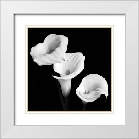 Sisters White Modern Wood Framed Art Print with Double Matting by Faragher, Michael