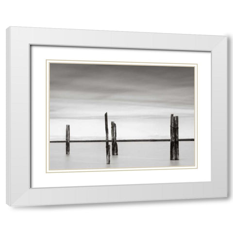 Cluster of Posts II White Modern Wood Framed Art Print with Double Matting by Hislop, Lawrence