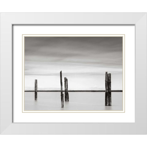 Cluster of Posts II White Modern Wood Framed Art Print with Double Matting by Hislop, Lawrence