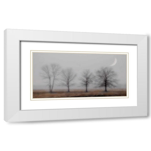 Early December White Modern Wood Framed Art Print with Double Matting by Jacks, Heather