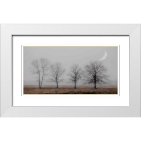 Early December White Modern Wood Framed Art Print with Double Matting by Jacks, Heather
