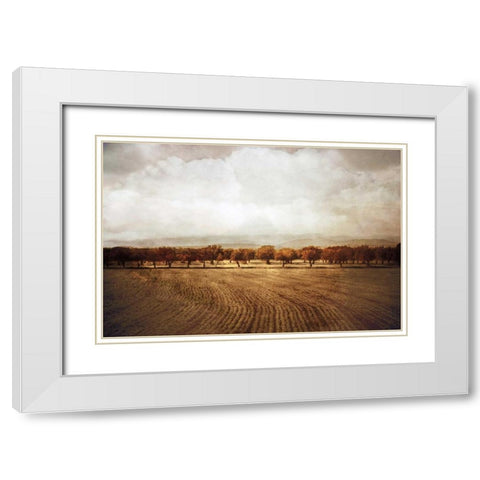 The Olive Grove White Modern Wood Framed Art Print with Double Matting by Jacks, Heather