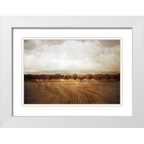 The Olive Grove White Modern Wood Framed Art Print with Double Matting by Jacks, Heather